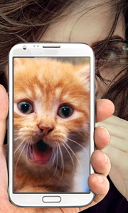 Which Animal Are You? What Animal Do I Look Like? for Android - Download |  Cafe Bazaar