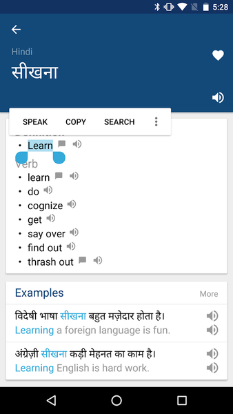 Hindi English Dictionary - Image screenshot of android app