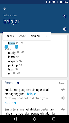 Indonesian English Dictionary - عکس برنامه موبایلی اندروید
