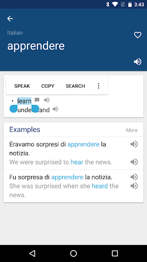 Italian English Dictionary - عکس برنامه موبایلی اندروید