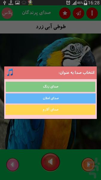 صدای پرندگان پلاس - عکس برنامه موبایلی اندروید