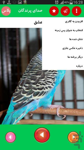 صدای پرندگان پلاس - عکس برنامه موبایلی اندروید