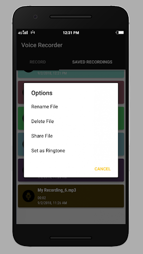 Smart Voice Recorder - Image screenshot of android app