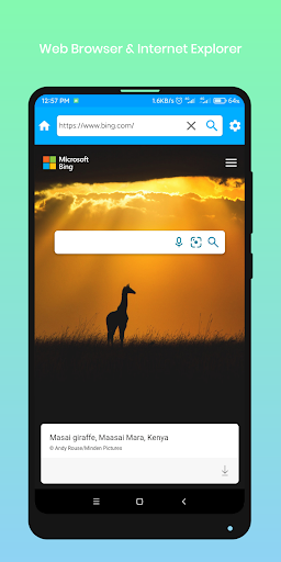 Web Browser: Internet Explorer - Image screenshot of android app