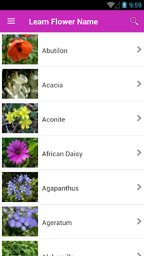 Learn Flower Name - Image screenshot of android app