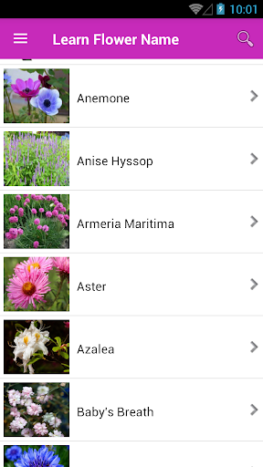 Learn Flower Name - Image screenshot of android app