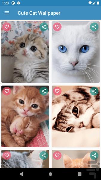 Cute Cat Wallpaper - Image screenshot of android app