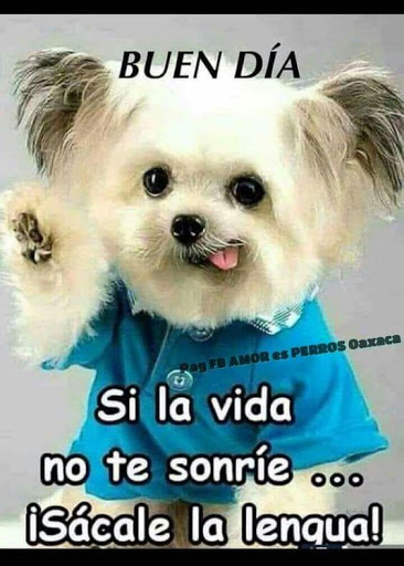 sonrie frases bonitas