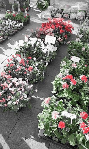 Splash Color Camera Selector - عکس برنامه موبایلی اندروید