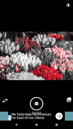 Splash Color Camera Selector - عکس برنامه موبایلی اندروید