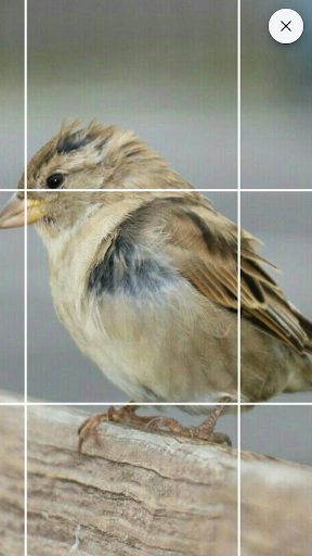 Drawing Grid - عکس برنامه موبایلی اندروید