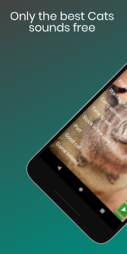cat ringtones for android