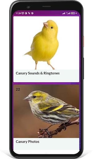 Canary Sounds and Singing - Image screenshot of android app