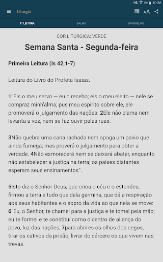 Liturgia Diária - Canção Nova - Image screenshot of android app