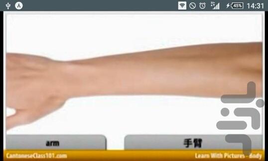 آموزش لغات روزمره کانتونی - عکس برنامه موبایلی اندروید