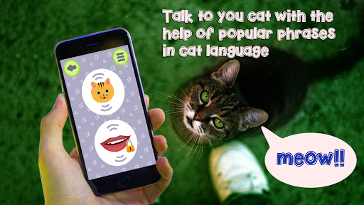 Cat Language Translator - Meow - Gameplay image of android game