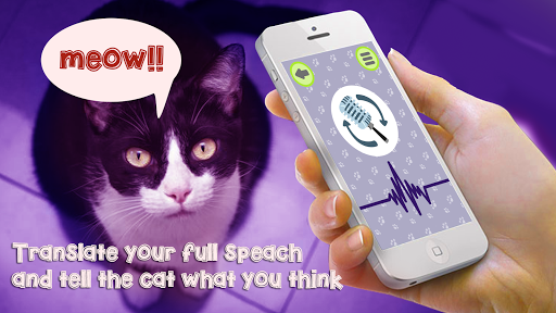 Cat Language Translator - Meow - عکس بازی موبایلی اندروید