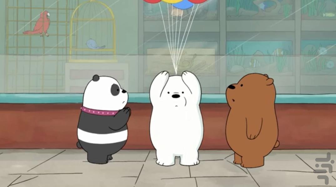 سه خرس کله پوک | دوبله فارسی - عکس برنامه موبایلی اندروید