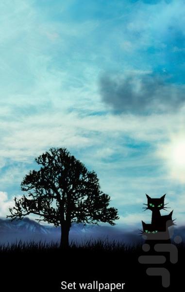 پس زمینه گربه در چمنزار - عکس برنامه موبایلی اندروید