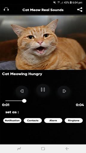 Cat Meow Real Sounds - عکس برنامه موبایلی اندروید