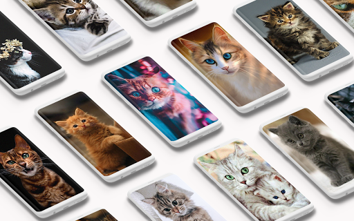 Cutest Cats Wallpaper - عکس برنامه موبایلی اندروید