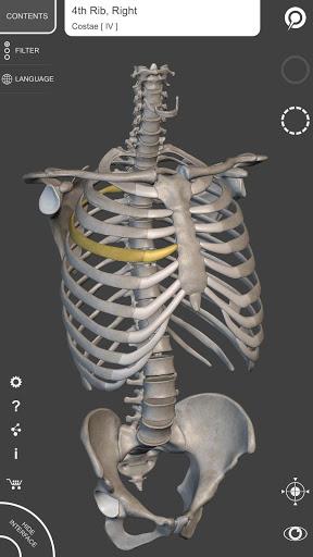 Skeleton | 3D Anatomy - عکس برنامه موبایلی اندروید