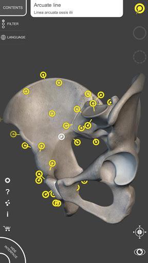 Skeleton | 3D Anatomy - عکس برنامه موبایلی اندروید