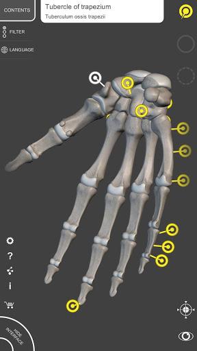 Skeleton | ۳D Anatomy - عکس برنامه موبایلی اندروید