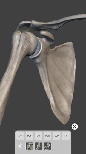 Skeleton | ۳D Anatomy - عکس برنامه موبایلی اندروید
