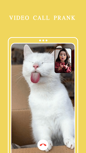 Cat Fake Video Call Cat Game - Image screenshot of android app