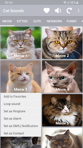 Cat Sounds - Meow Noises - Image screenshot of android app