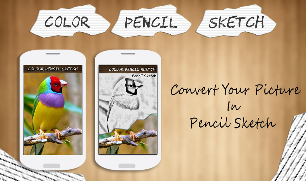Color Pencil Sketch effect - Image screenshot of android app