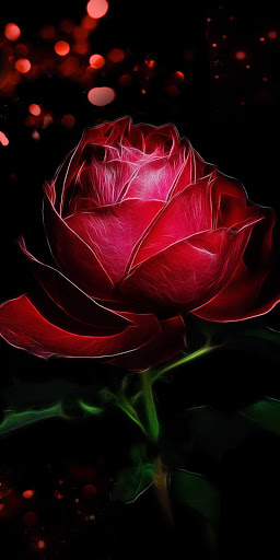 Rose Mobile Wallpapers - Top Free Rose Mobile Backgrounds - WallpaperAccess