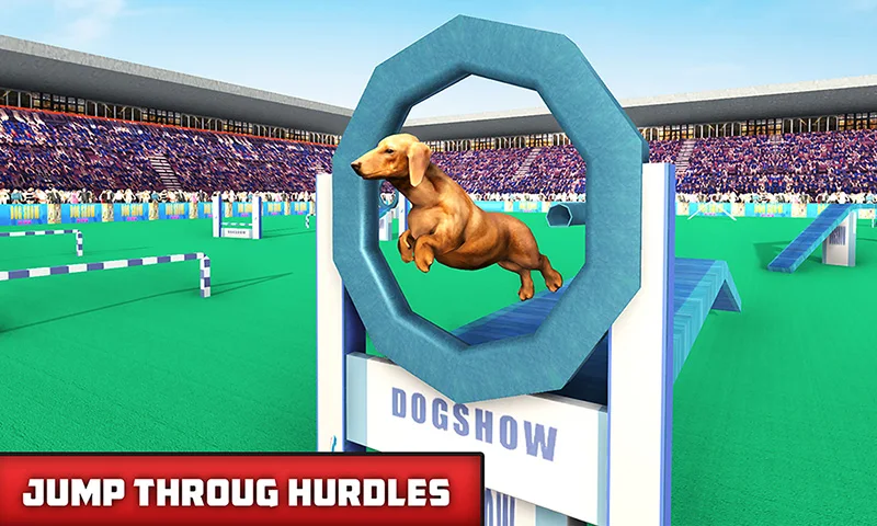 Pet Dog Simulator Dog Games 3D - عکس بازی موبایلی اندروید
