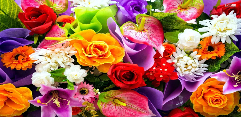 Rose GIF Images. - عکس برنامه موبایلی اندروید