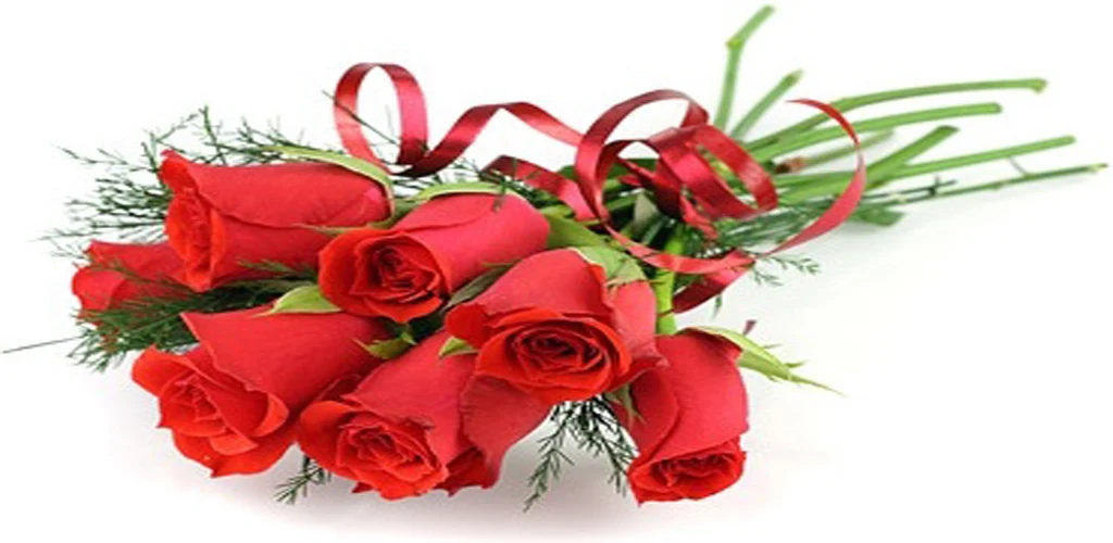 Rose GIF Images. - عکس برنامه موبایلی اندروید