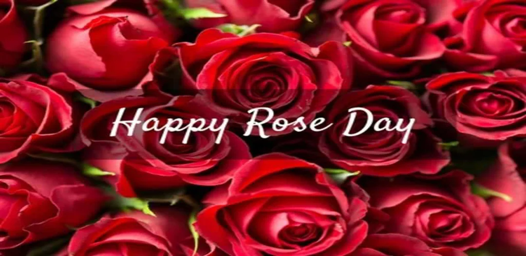 Rose GIF Images. - عکس برنامه موبایلی اندروید