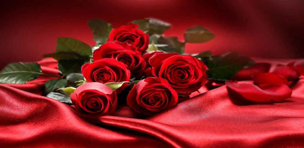 Rose GIF Images. - عکس برنامه موبایلی اندروید