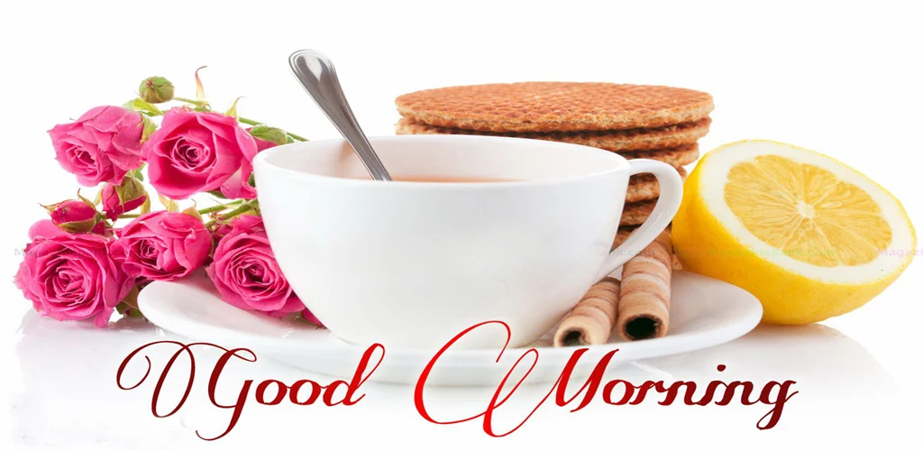 Good Morning GIF Greetings - عکس برنامه موبایلی اندروید