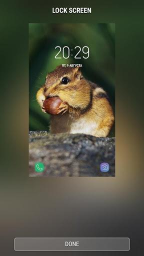 Chipmunks - RINGTONES and WALLPAPERS - عکس برنامه موبایلی اندروید