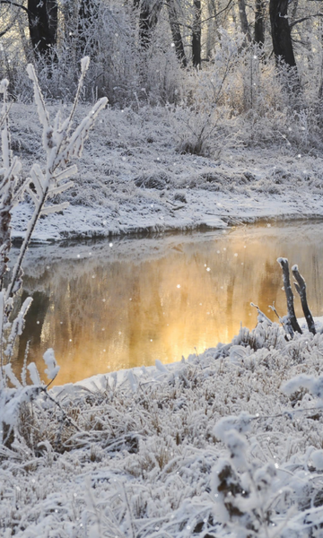 Winter Wallpaper - Image screenshot of android app