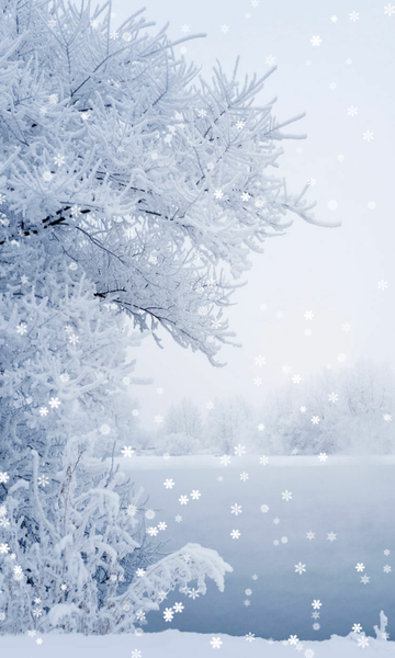 Winter Wallpaper - Image screenshot of android app