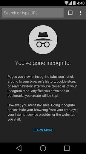 Chrome Beta - Image screenshot of android app