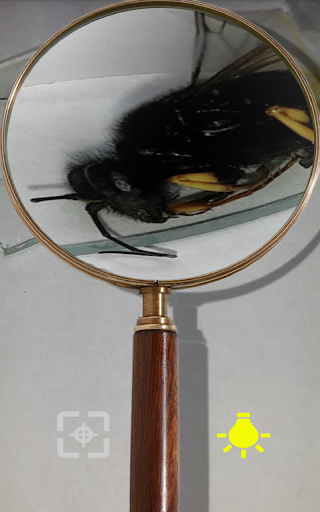 Magnifying Glass - Image screenshot of android app