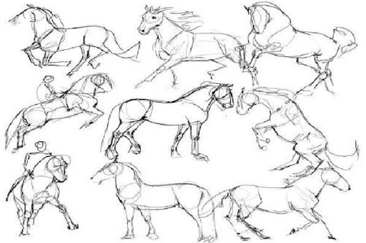 Sketch and Draw a Horse - Image screenshot of android app