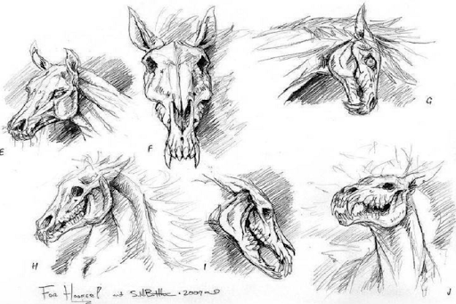 Sketch and Draw a Horse - عکس برنامه موبایلی اندروید