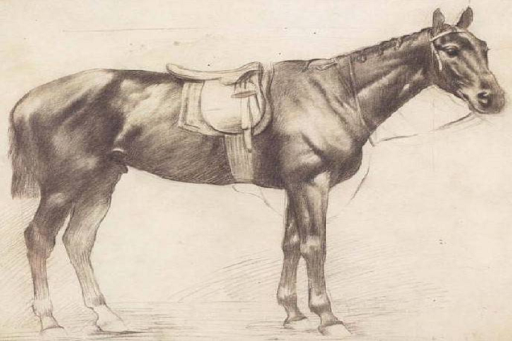 Sketch and Draw a Horse - عکس برنامه موبایلی اندروید