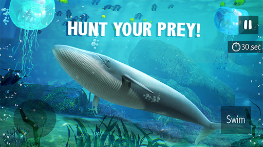 Blue Whale Simulator - Game - عکس بازی موبایلی اندروید