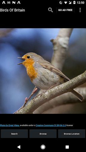 Birds Of Britain - عکس برنامه موبایلی اندروید