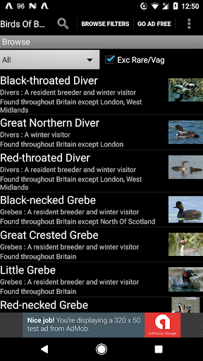 Birds Of Britain - عکس برنامه موبایلی اندروید